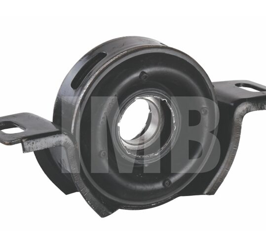 6006 2RS ASSY (XYLO) (100.268)